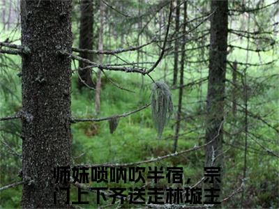 师妹唢呐吹半宿，宗门上下齐送走林璇（师妹唢呐吹半宿，宗门上下齐送走林璇）全文免费阅读无弹窗大结局_（师妹唢呐吹半宿，宗门上下齐送走林璇小说全文免费阅读）师妹唢呐吹半宿，宗门上下齐送走林璇最新章节列表笔趣阁（师妹唢呐吹半宿，宗门上下齐送走林璇）