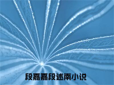 段嘉嘉段述南(段嘉嘉段述南)全文免费阅读_段嘉嘉段述南章节免费阅读-笔趣阁