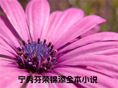 宁秀芬荣锦添无广告小说正版在线阅读，宁秀芬荣锦添全文在线阅读大结局