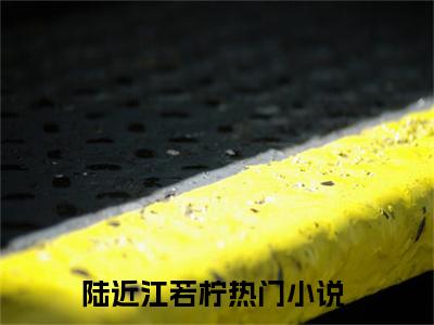 高赞小说（陆近江若柠小说免费阅读）完结阅读_陆近江若柠全文免费阅读最新章节大结局