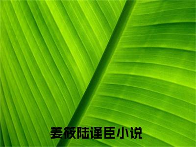 姜筱陆谨臣（姜筱陆谨臣）全文免费阅读无弹窗大结局_姜筱陆谨臣完整章节阅读