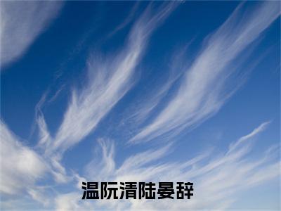 温阮清陆晏辞免费阅读（温阮清陆晏辞）完整版全文全章节阅读