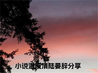 温阮清陆晏辞（温阮清陆晏辞）免费阅读-小说温阮清陆晏辞免费观看