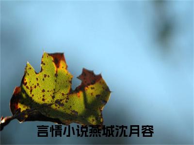 燕城沈月容是什么小说-（燕城沈月容全文阅读）最新章节列表