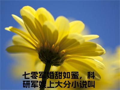 小说闻倾川沈桑榆全文免费阅读无弹窗_（七零军婚甜如蜜，科研军嫂上大分完结）闻倾川沈桑榆小说免费阅读无弹窗最新章节列表