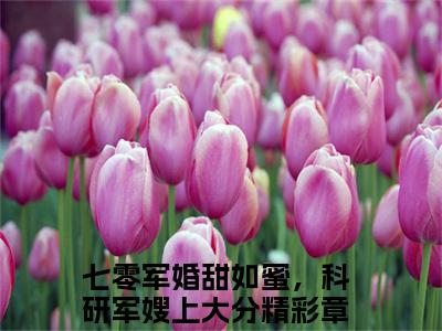 闻倾川沈桑榆（七零军婚甜如蜜，科研军嫂上大分）全文免费阅读无弹窗大结局_闻倾川沈桑榆小说精彩免费试读