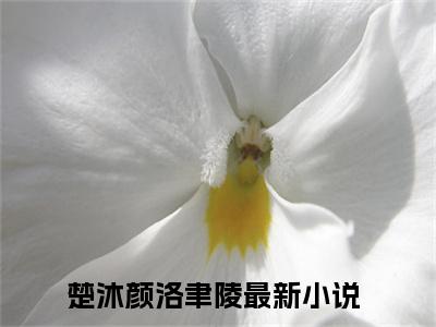 楚沐颜洛聿陵小说免费阅读楚沐颜洛聿陵小说全文免费阅读_（楚沐颜洛聿陵）楚沐颜洛聿陵最新章节列表笔趣阁