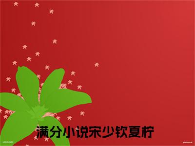 宋少钦夏柠免费阅读无弹窗最新章节列表_笔趣阁(宋少钦夏柠)