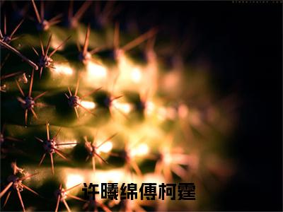 小说（许曦绵傅柯霆）最新章节免费阅读-（许曦绵傅柯霆）小说全文无删减版