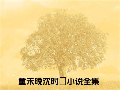 童未晚沈时璟小说全文免费阅读 （童未晚沈时璟）免费阅读全文免费阅读无弹窗大结局