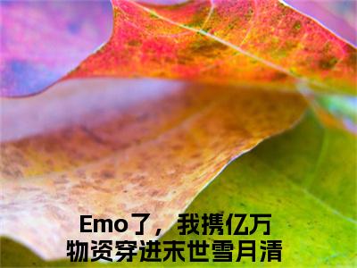 Emo了，我携亿万物资穿进末世雪月清小说（Emo了，我携亿万物资穿进末世雪月清）免费阅读全文无弹窗大结局_Emo了，我携亿万物资穿进末世雪月清免费阅读无弹窗小说_小说笔趣阁