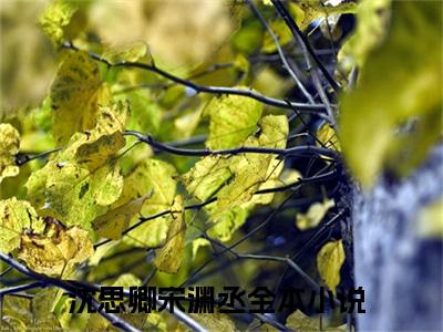 （沈思卿宋渊丞小说）全文免费阅读无弹窗大结局_（沈思卿宋渊丞阅读无弹窗）沈思卿宋渊丞小说章节列表