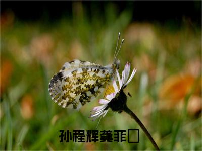 孙程辉龚菲玥（孙程辉龚菲玥）全文免费阅读无弹窗大结局-孙程辉龚菲玥最新章节列表-笔趣阁