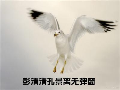 彭清清孔景离的书名全文免费最后一章在线阅读 彭清清孔景离全文小说完整版