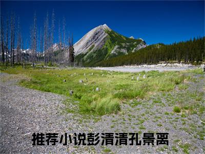 彭清清孔景离小说最新章节（彭清清孔景离）全文免费阅读无弹窗大结局_彭清清孔景离免费阅读（彭清清孔景离小说）