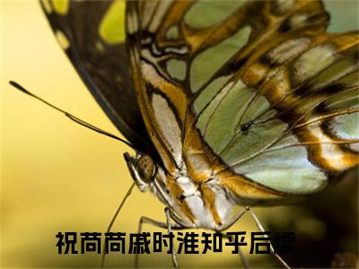 祝苘苘戚时淮是什么 祝苘苘戚时淮免费阅读全文