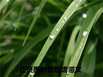 江京墨叶昔茵全网首发小说-江京墨叶昔茵无广告免费试读