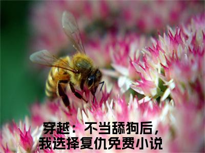 小说（穿越：不当舔狗后，我选择复仇）叶一山顾碗全文免费阅读无弹窗-叶一山顾碗小说全文在线赏析（今日更新最新章节）