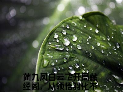 蔺九凤白云飞（开局藏经阁，从领悟羽化不朽诀开始）小说全文无删减-蔺九凤白云飞小说免费阅读大结局（免费+全集）