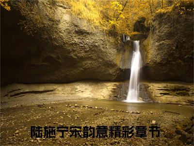 小说(陆施宁宋韵意)全文免费阅读_(陆施宁宋韵意)小说全文免费阅读