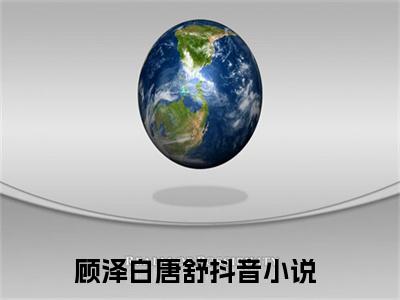 顾泽白唐舒（顾泽白唐舒）全文免费阅读无弹窗大结局_顾泽白唐舒在线阅读（顾泽白唐舒）