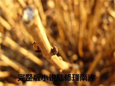 陆修瑾南汐（陆修瑾南汐）完整版小说阅读_陆修瑾南汐全文免费阅读最新章节列表_笔趣阁