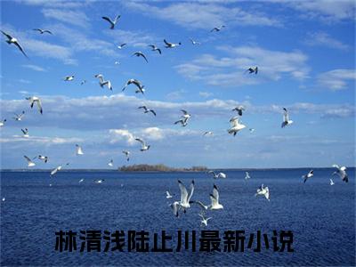 林清浅陆止川(林清浅陆止川)全文免费阅读-林清浅陆止川最新章节阅读