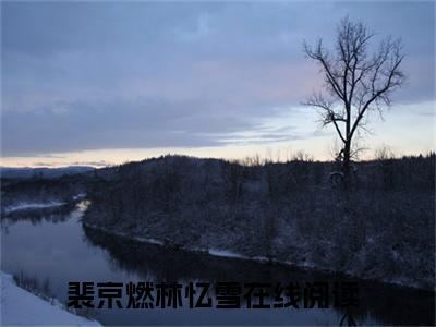 裴京燃林忆雪后续+番外（裴京燃林忆雪）全文免费阅读无弹窗大结局_裴京燃林忆雪最新章节列表_笔趣阁（裴京燃林忆雪后续+番外）