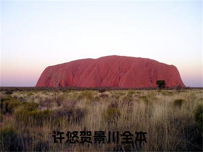 许悠贺景川的小说全文免费阅读无弹窗，许悠贺景川的小说在线免费阅读大结局