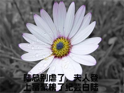 纪芸白陆远洲（陆总别虐了，夫人登上富豪榜了小说全文）在线阅读无弹窗大结局-纪芸白陆远洲全文无删减版阅读