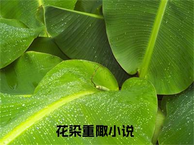 （花染重陬）是什么小说-（花染重陬）无弹窗免费阅读大结局最新章节列表_笔趣阁