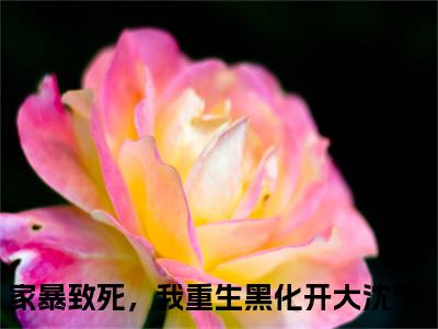 家暴致死，我重生黑化开大新书沈宁看全文小说-家暴致死，我重生黑化开大小说资源阅读沈宁