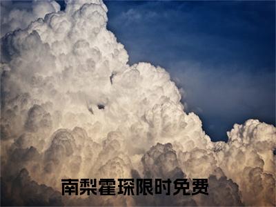 南梨霍琛小说（南梨霍琛）全文免费阅读无弹窗大结局_(南梨霍琛小说)南梨霍琛小说免费阅读无弹窗最新章节列表_笔趣阁（南梨霍琛）