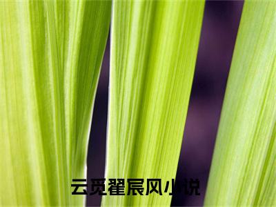 云觅翟宸风（云觅翟宸风无弹窗）全文免费阅读无弹窗大结局_（云觅翟宸风全文免费阅读无弹窗）云觅翟宸风无弹窗最新章节列表_笔趣阁