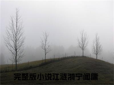 （似水起涟漪）热门美文阅读_热门小说江涟漪宁闻庸主人公是（似水起涟漪）最新章节限时观看_笔趣阁