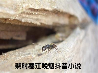 裴时寒江晚烟（裴时寒江晚烟)全文免费阅读无弹窗大结局_裴时寒江晚烟最新章节列表_笔趣阁