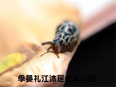 精选好书（季晏礼江沐瑶），季晏礼江沐瑶全文无删减版在线阅读