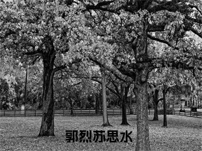 郭烈苏思水（郭烈苏思水）全文在线阅读无弹窗大结局_(郭烈苏思水免费阅读全文大结局)最新章节列表_笔趣阁（郭烈苏思水）