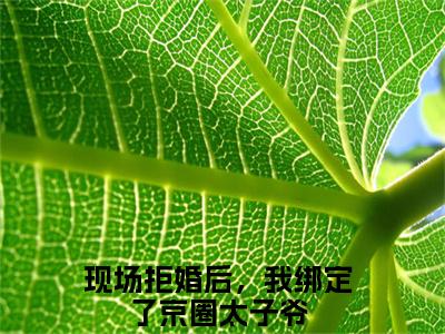 热门小说楚弘逸宋希全文免费阅读无弹窗大结局-现场拒婚后，我绑定了京圈太子爷全文无弹窗免费阅读大结局