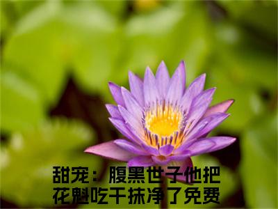 甜宠：腹黑世子他把花魁吃干抹净了在线阅读（燕翩翩裴湛）全文免费阅读_燕翩翩裴湛最新章节列表_笔趣阁