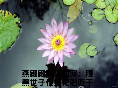 甜宠：腹黑世子他把花魁吃干抹净了小说全文免费阅读_（甜宠：腹黑世子他把花魁吃干抹净了）燕翩翩裴湛最新章节列表笔趣阁