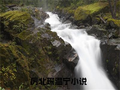 厉北琛温宁(厉北琛温宁)小说全文小说免费阅读_厉北琛温宁最新章节列表笔趣阁