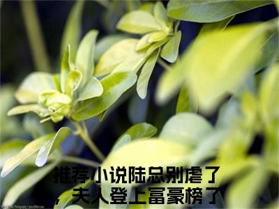 陆总别虐了，夫人登上富豪榜了（纪芸白陆远洲）全文免费阅读无弹窗大结局_陆总别虐了，夫人登上富豪榜了热门小说最新章节阅读