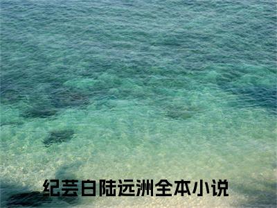 纪芸白陆远洲（陆总别虐了，夫人登上富豪榜了）全文免费阅读_陆总别虐了，夫人登上富豪榜了全文阅读_笔趣阁