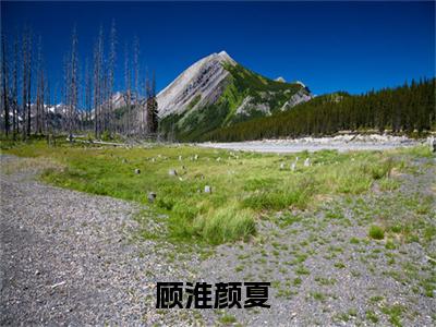 顾淮颜夏无广告小说（顾淮颜夏）全文免费阅读无弹窗大结局-顾淮颜夏在线阅读