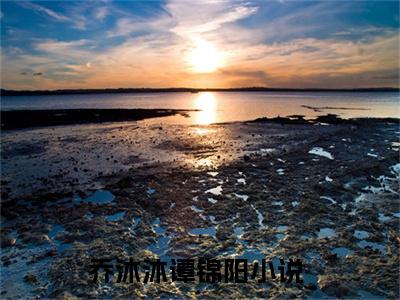 乔沐沐谭锦阳(乔沐沐谭锦阳)全文免费阅读无弹窗大结局_(乔沐沐谭锦阳)乔沐沐谭锦阳小说免费阅读最新章节列表笔趣阁（乔沐沐谭锦阳）