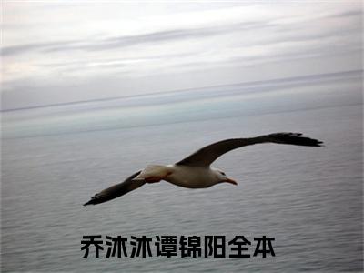 乔沐沐谭锦阳小说免费阅读 乔沐沐谭锦阳免费阅读无广告