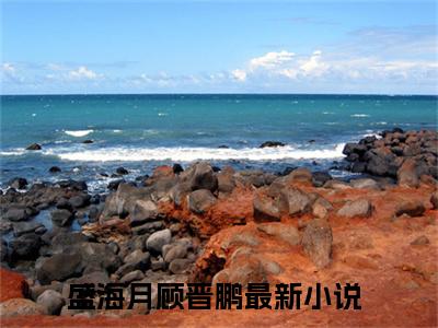 盛海月顾晋鹏（盛海月顾晋鹏）全文免费阅读无弹窗大结局_（盛海月顾晋鹏）已完结全集大结局小说