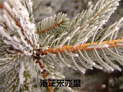 洛芷宋亦盛小说好看吗 洛芷宋亦盛热门推荐小说（洛芷宋亦盛）全章节阅读_笔趣阁