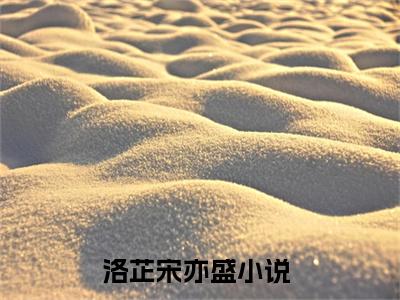 【新书】洛芷宋亦盛全文全章节免费阅读-洛芷宋亦盛小说免费阅读无弹窗最新章节列表